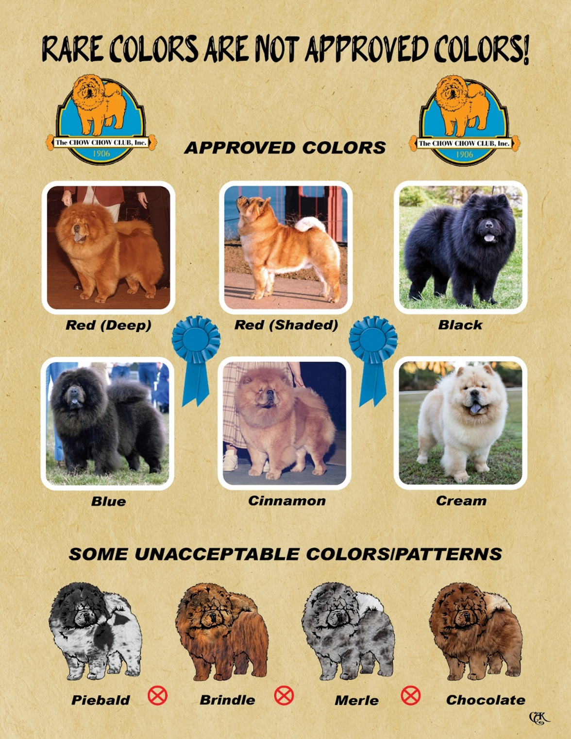 Are Black Chow Chows Rare